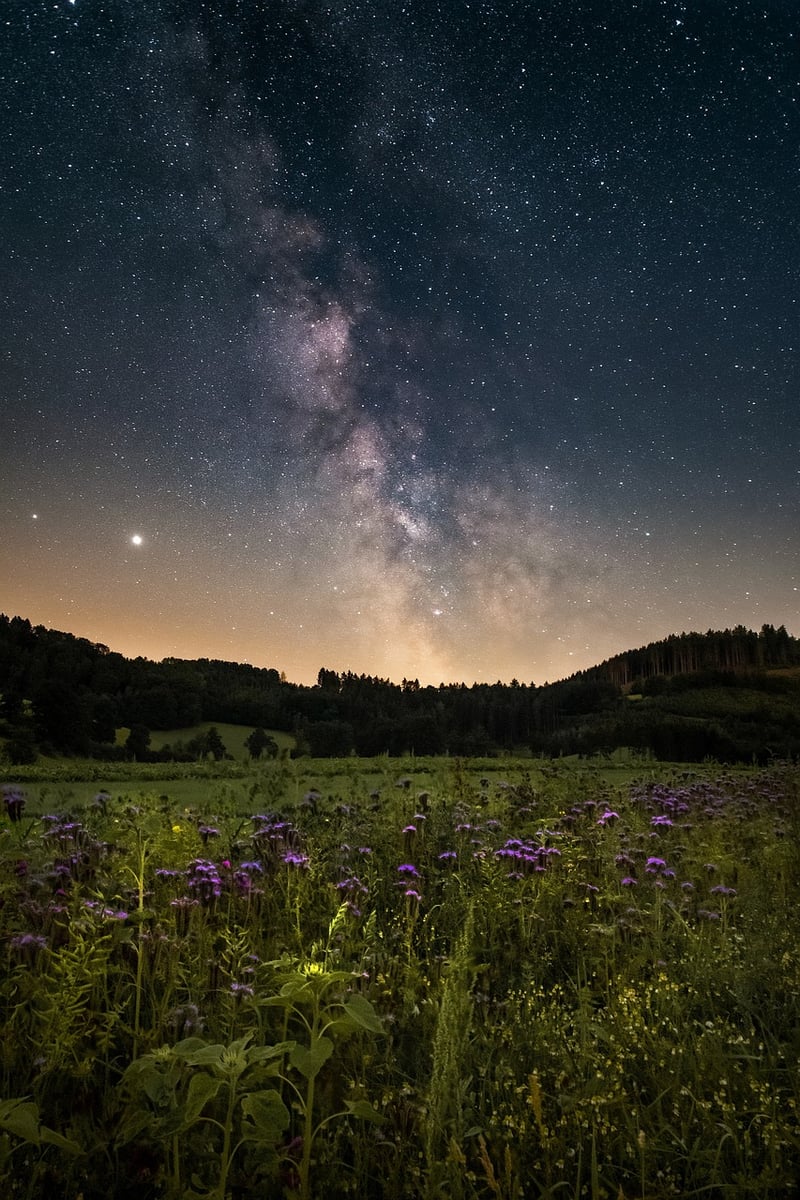 Galactic Coordinates